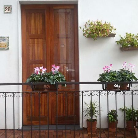 Guest House Le Ginestre Dell'Etna Belpasso Eksteriør bilde