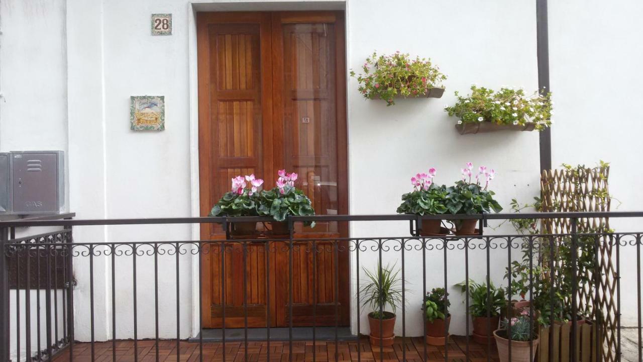 Guest House Le Ginestre Dell'Etna Belpasso Eksteriør bilde
