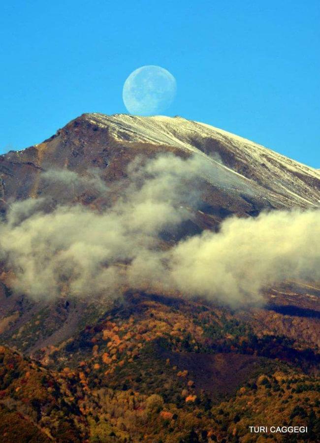 Guest House Le Ginestre Dell'Etna Belpasso Eksteriør bilde